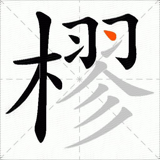 樛