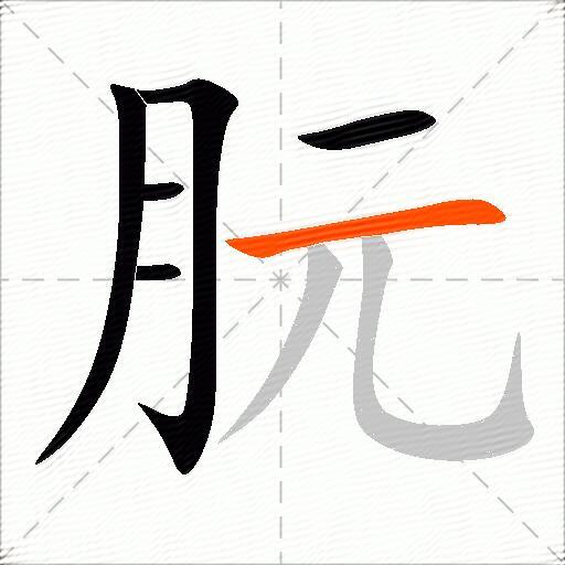 朊