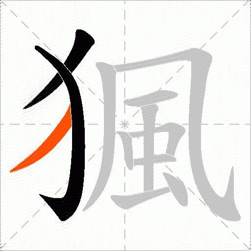 猦