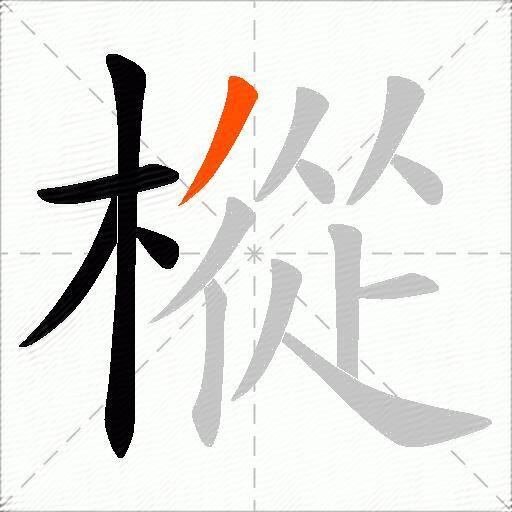 樅