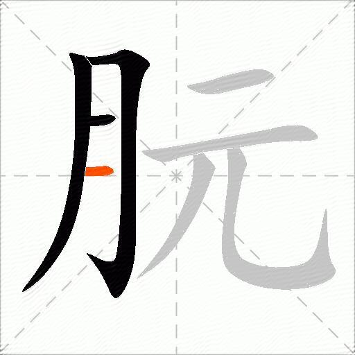 朊