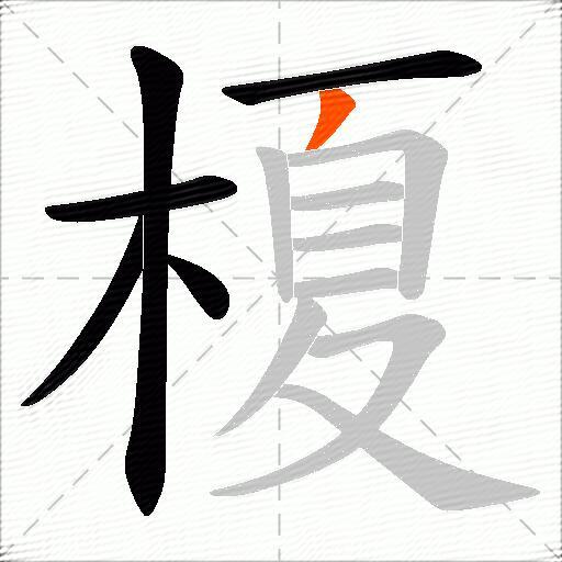 榎