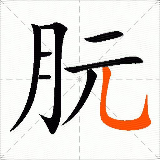 朊