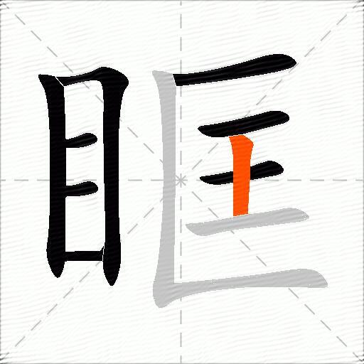 眶
