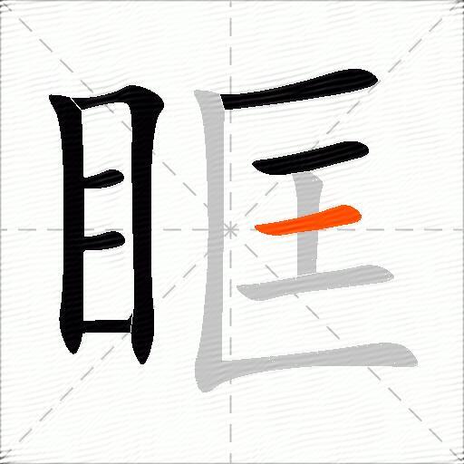 眶