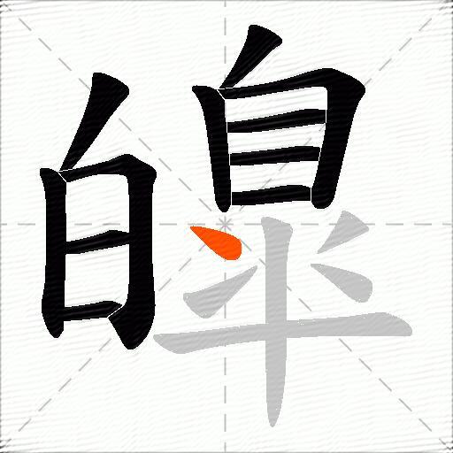 皥