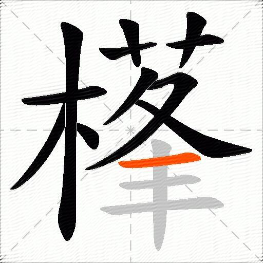 樥