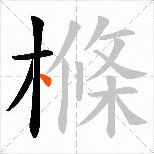 樤