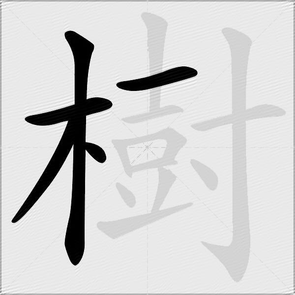 樹