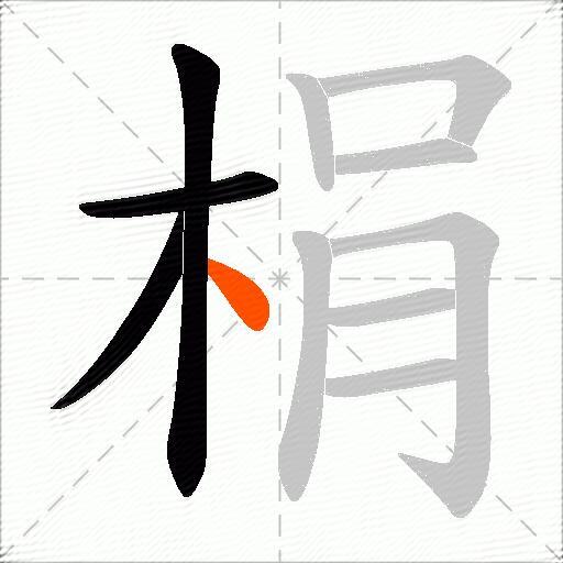 梋