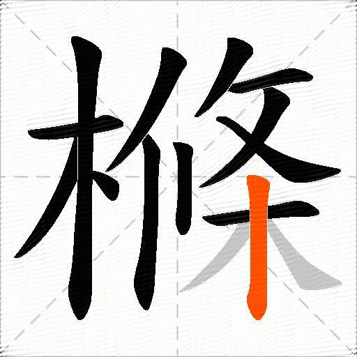 樤