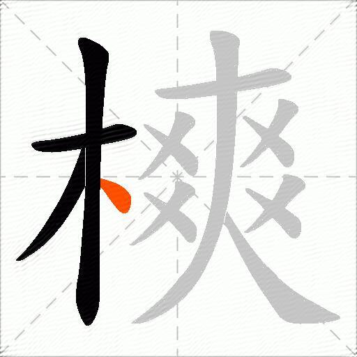 樉