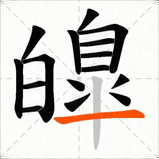 皥