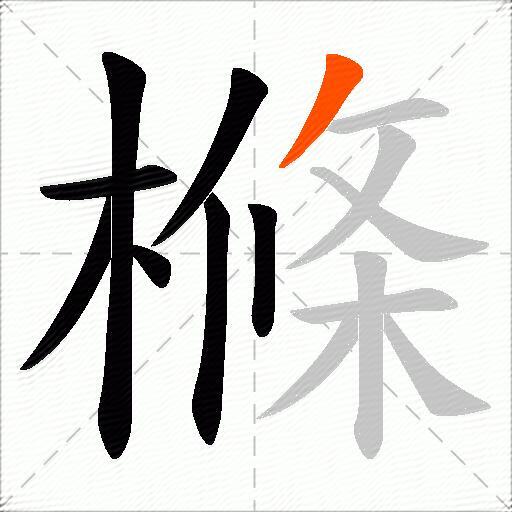 樤