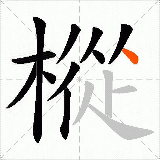 樅