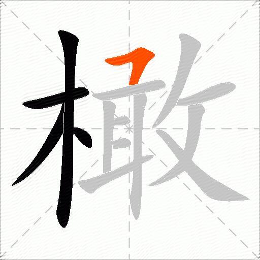 橄