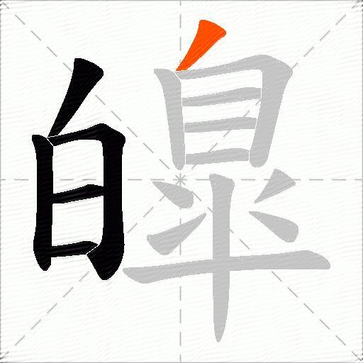 皥