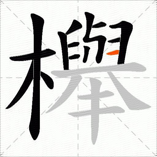 櫸