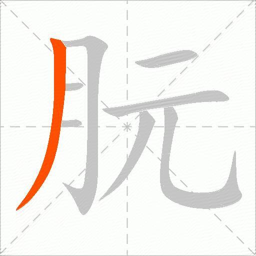 朊