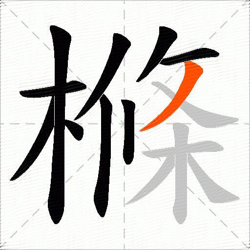 樤