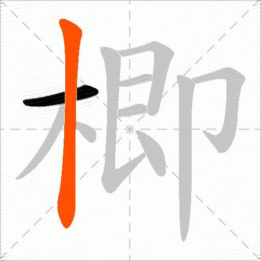 楖