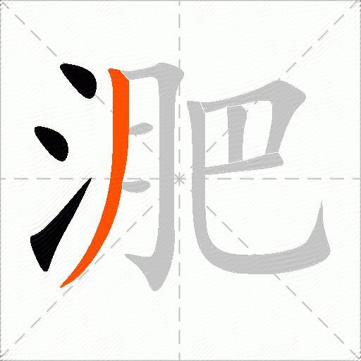 淝
