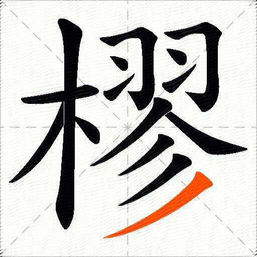 樛