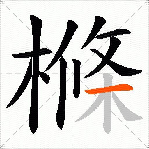 樤