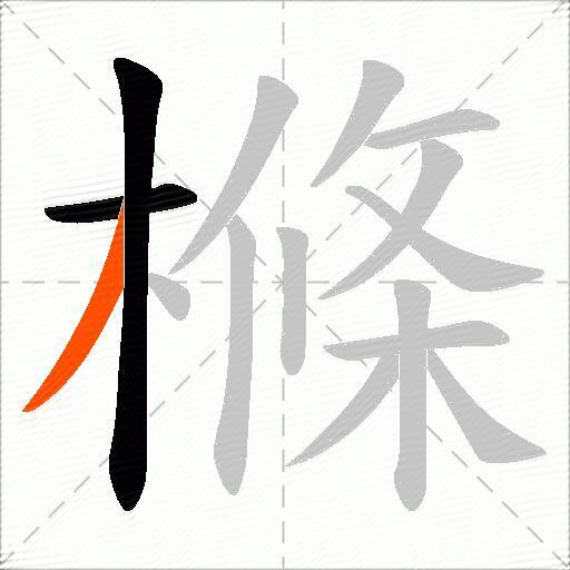 樤