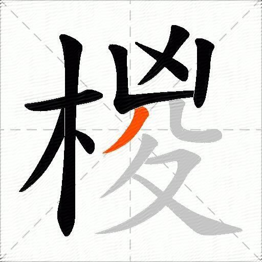椶