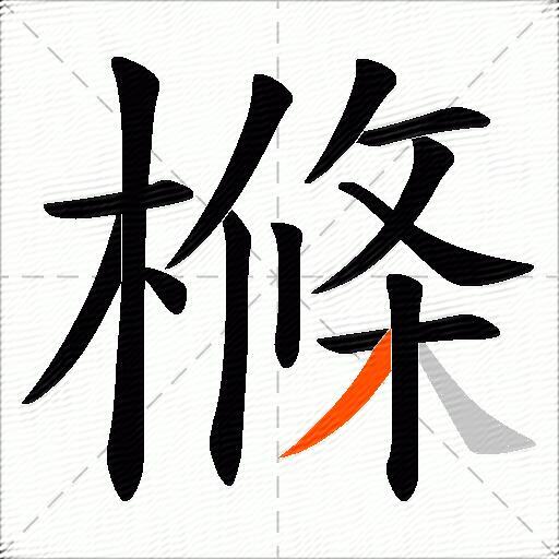 樤