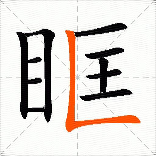 眶