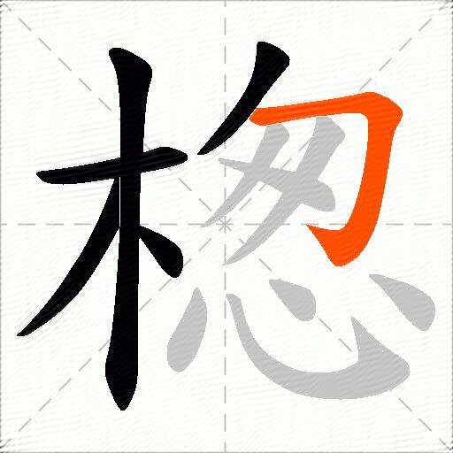 楤