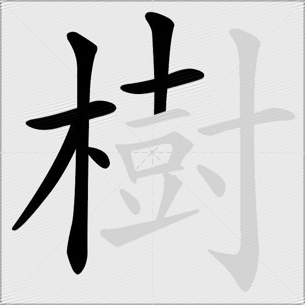 樹