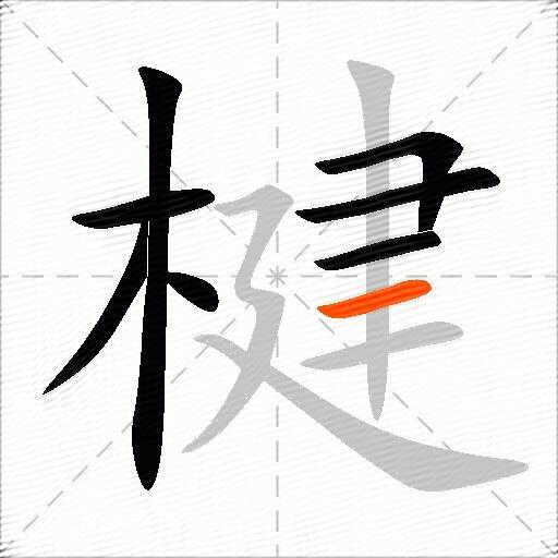 楗