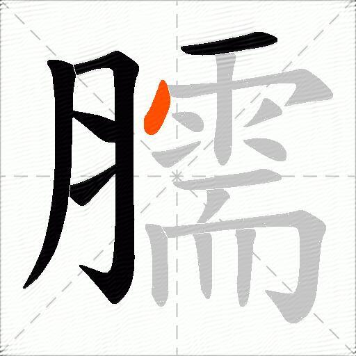 臑