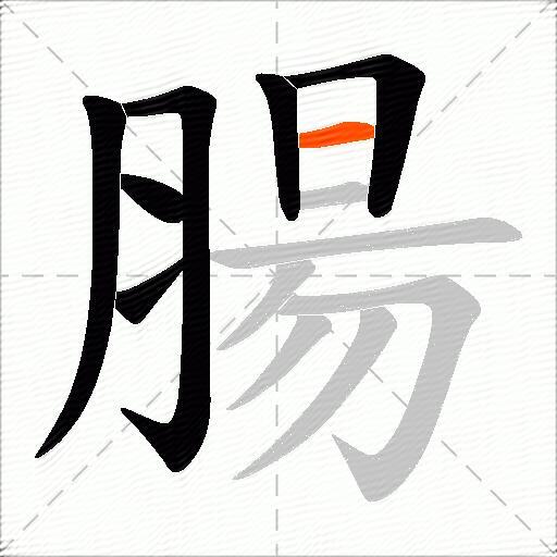 腸