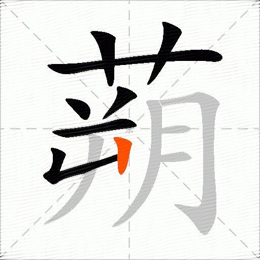 蒴
