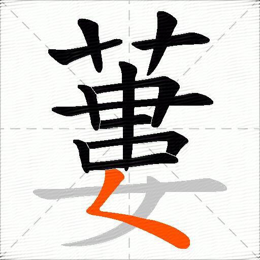 蔞