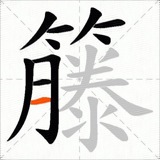 籐
