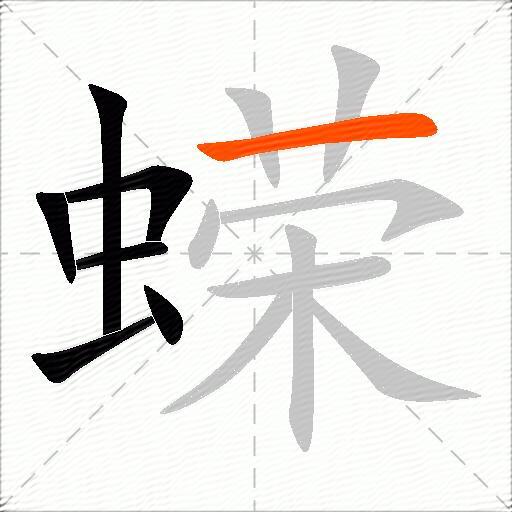 蝾