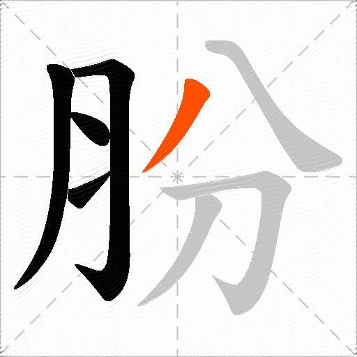 肦