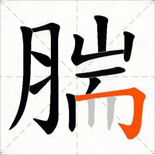 腨