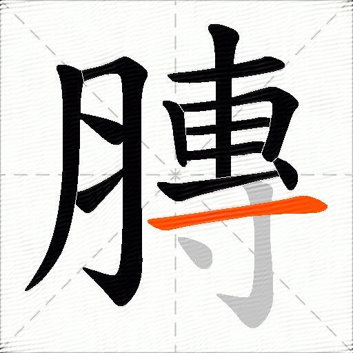 膞
