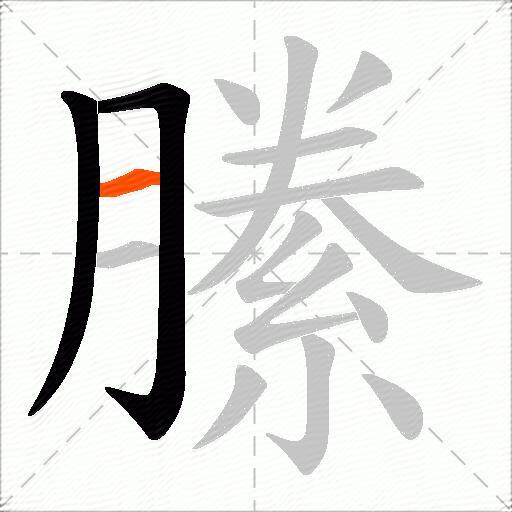 縢