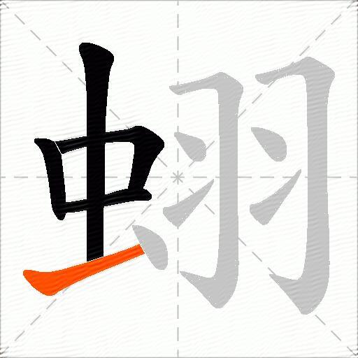 蛡