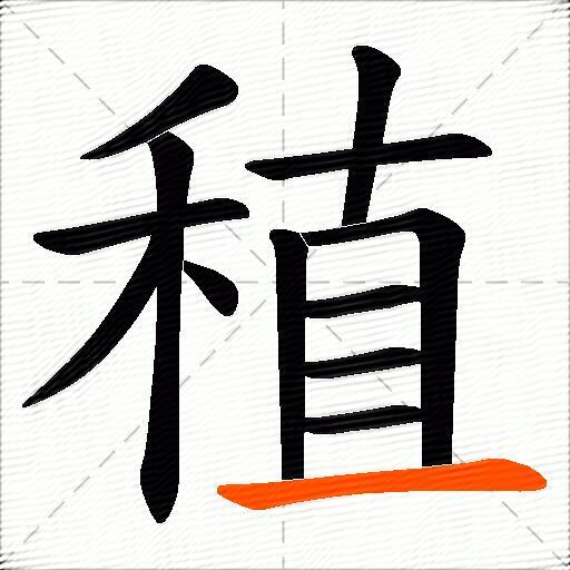 稙