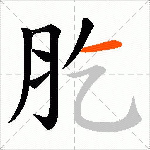 肐