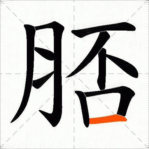脴