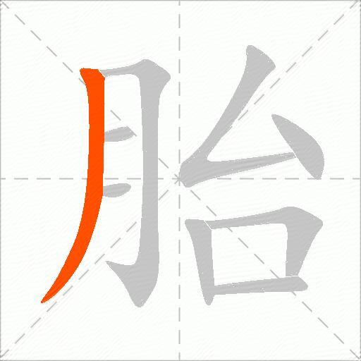 胎